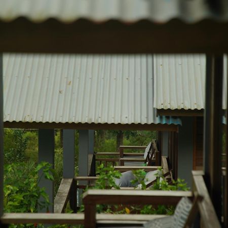 The Geckos Homestay Kelimutu Værelse billede