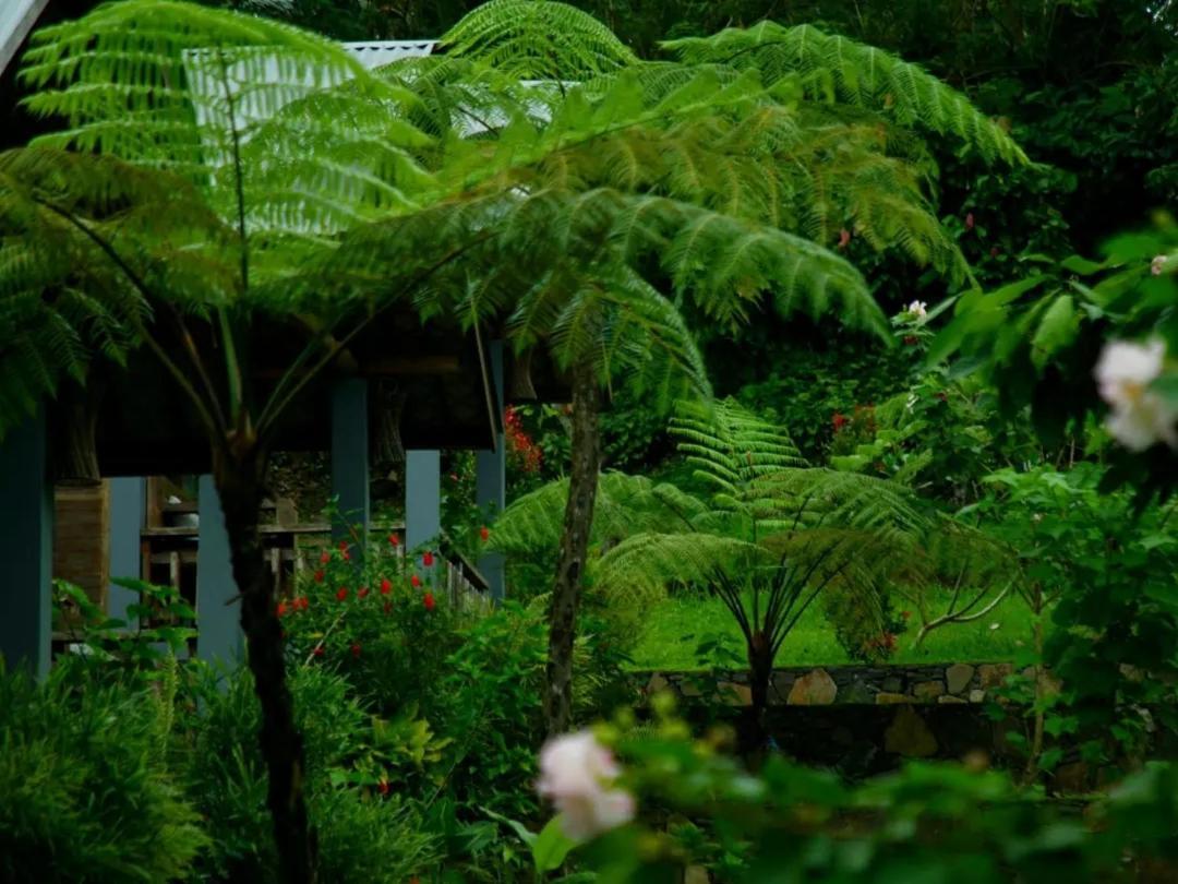 The Geckos Homestay Kelimutu Eksteriør billede