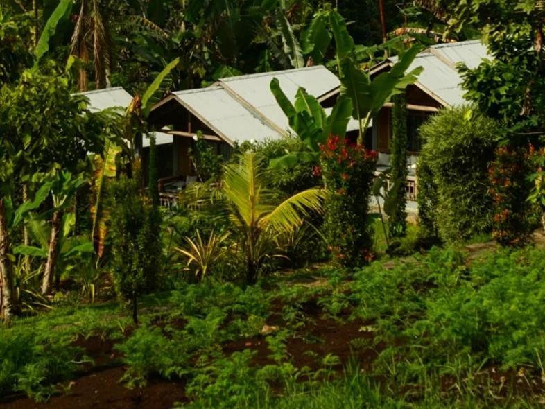 The Geckos Homestay Kelimutu Værelse billede