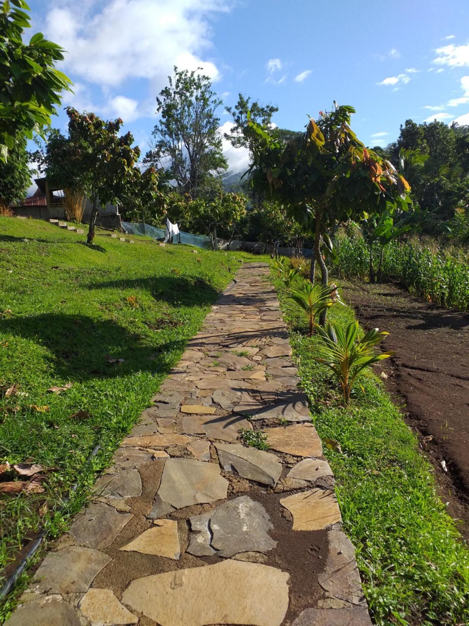 The Geckos Homestay Kelimutu Værelse billede