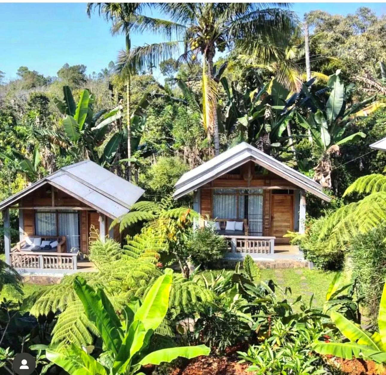 The Geckos Homestay Kelimutu Eksteriør billede